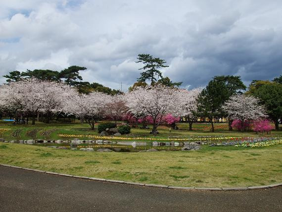 新米女将のゆの香日記-別府公園2